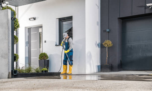 Best Fence Cleaning  in Gladwin, MI